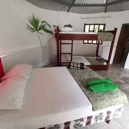 Guest House Great Hostels Amazon プヨ エクステリア 写真