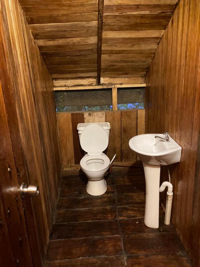 Guest House Great Hostels Amazon プヨ エクステリア 写真